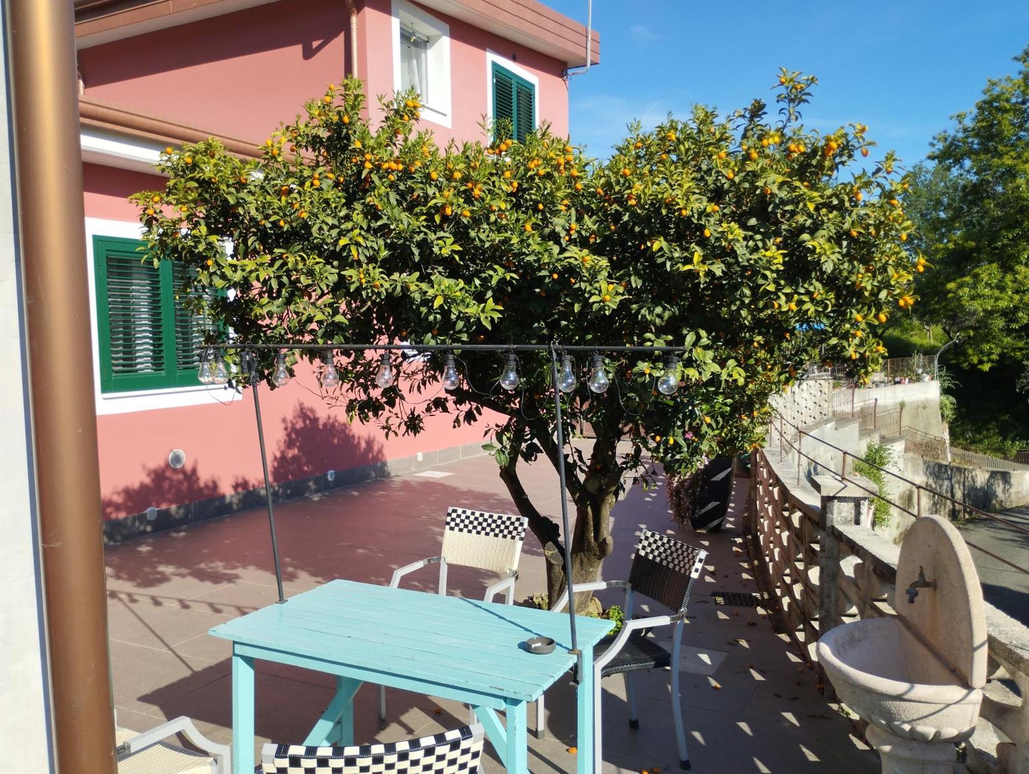 Onde Te Ve? Apartment La Spezia Extérieur photo